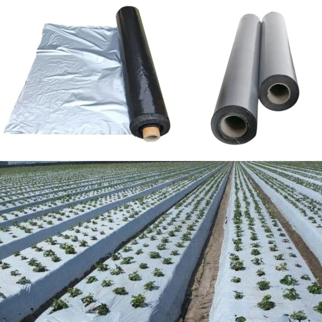 polythene mulching sheet by A5A EXPORTER