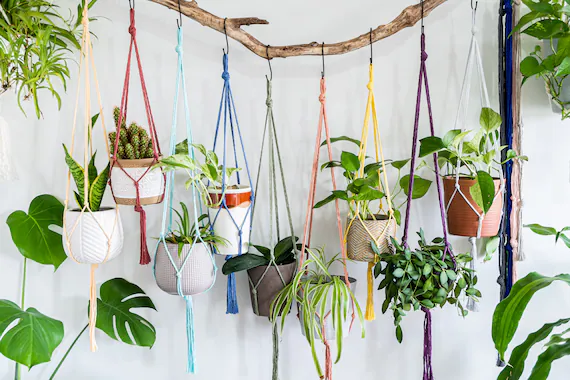 indoor plant hanger by A5A EXPORTER