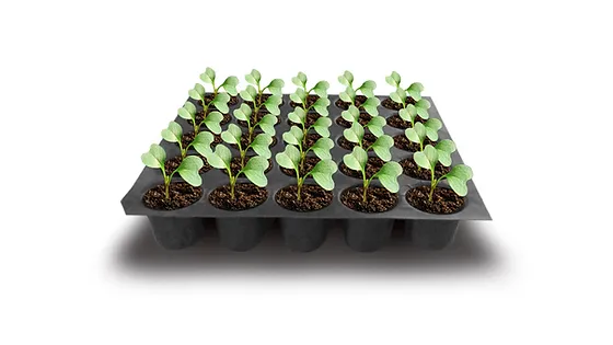 reusable seedling tray by A5A EXPORTER