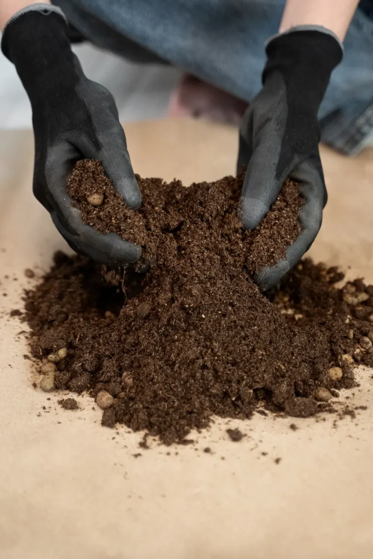 cow dung export by A5A EXPORTER