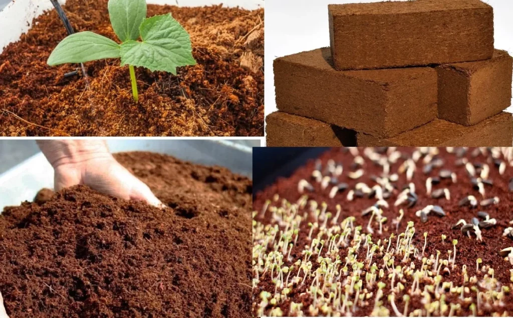 coco peat exporters by A5A EXPORTER